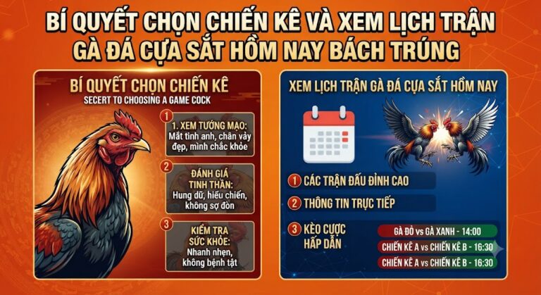 Bí Quyết Chọn Chiến Kê Và Xem Lịch Trận Gà Đá Cựa Sắt Hôm Nay Bách Trúng
