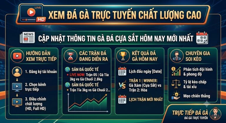 Xem đá gà trực tuyến chất lượng cao – Cập nhật thông tin gà đá cựa sắt hôm nay mới nhất
