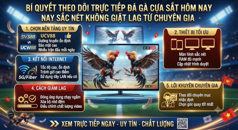 Bí Quyết Theo Dõi Trực Tiếp Đá Gà Cựa Sắt Hôm Nay Sắc Nét Không Giật Lag Từ Chuyên Gia
